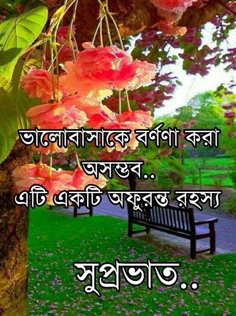 7659+ Good Morning Bengali Shayari .